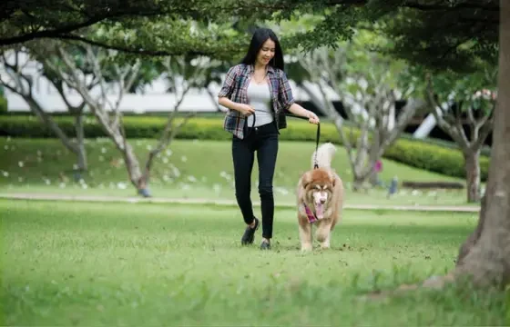 12 xCCIcV9GvCyaPHqmd1PmQw 1CwPkXoOEyuKgIz5DpvTHw