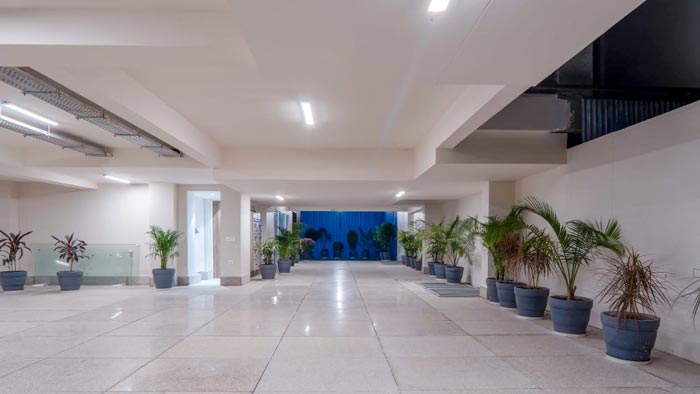 Orchid IVY Gallery Image