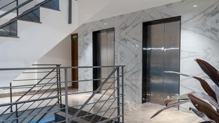 Orchid IVY Gallery Image