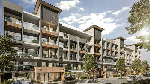 Orchid IVY Gallery Image