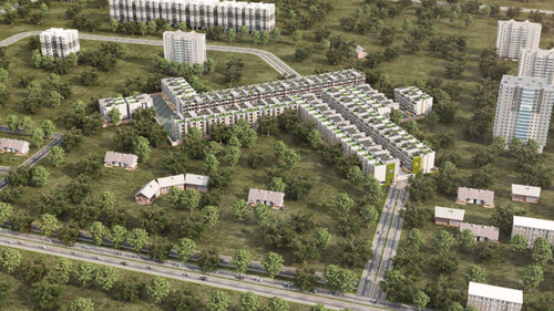 Orchid IVY Gallery Image