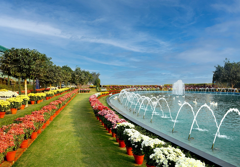 Central Park Flower Valley G1